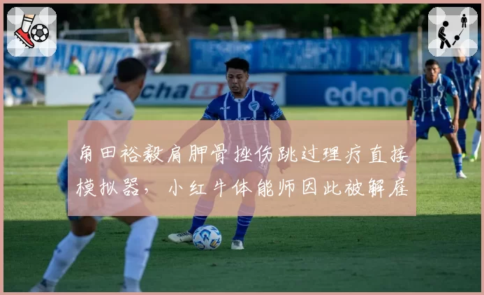 角田裕毅肩胛骨挫伤跳过理疗直接模拟器，小红牛体能师因此被解雇内幕曝光
