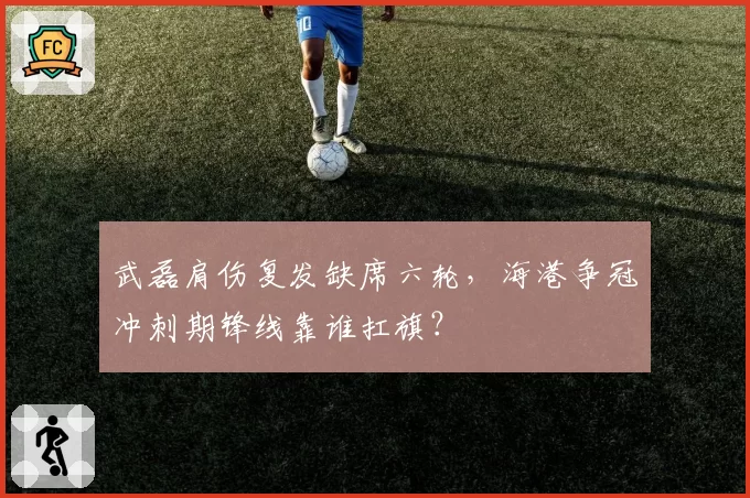 武磊肩伤复发缺席六轮，海港争冠冲刺期锋线靠谁扛旗？