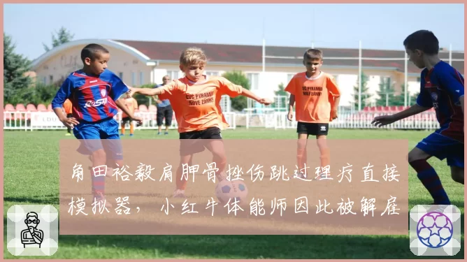 角田裕毅肩胛骨挫伤跳过理疗直接模拟器，小红牛体能师因此被解雇内幕曝光